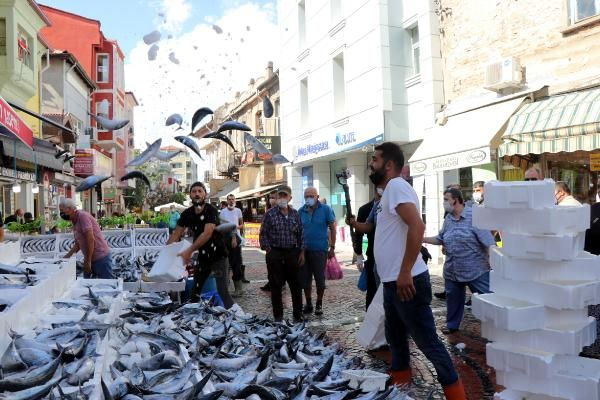 Tezgahlarda palamut bolluğu: Bu paraya bir daha bu balık düşmez