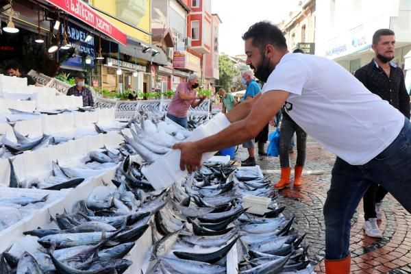 Tezgahlarda palamut bolluğu: Bu paraya bir daha bu balık düşmez