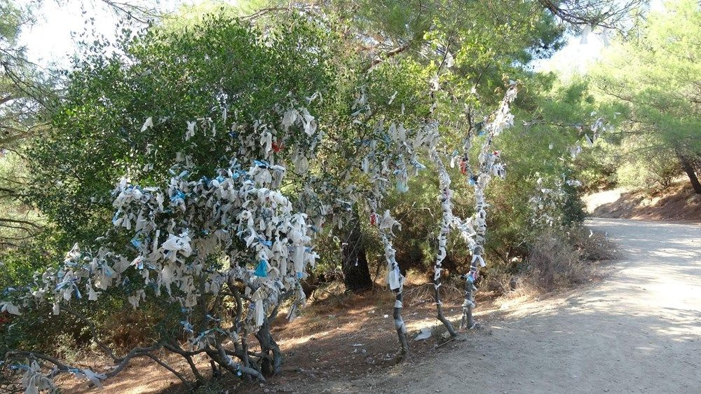 Çanakkale'de görenleri şok eden manzara! Yüzlerce maskeyi ağaca astılar