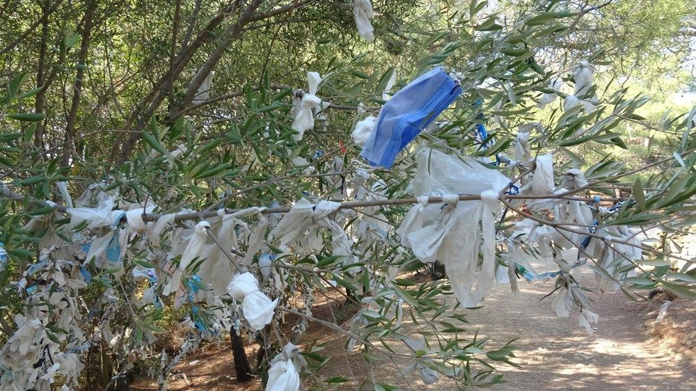 Çanakkale'de görenleri şok eden manzara! Yüzlerce maskeyi ağaca astılar