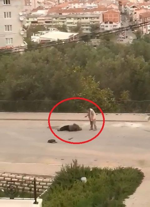 Bursa'da eşini sokakta vurup ağır yaraladı silah tutukluk yapınca kaçtı o anlar kamerada
