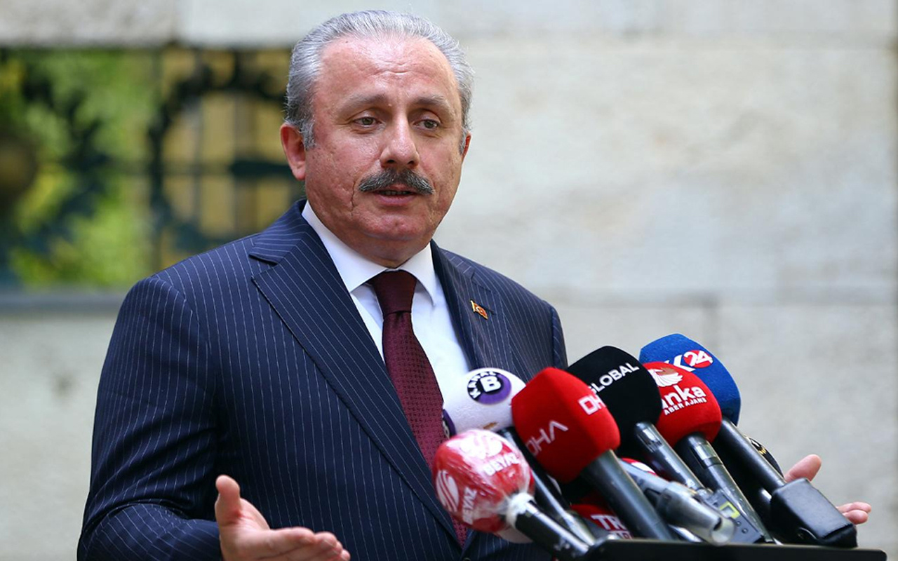 Meclis Başkanı Mustafa Şentop'tan AP'nin Maraş ve Kıbrıs kararına tepki
