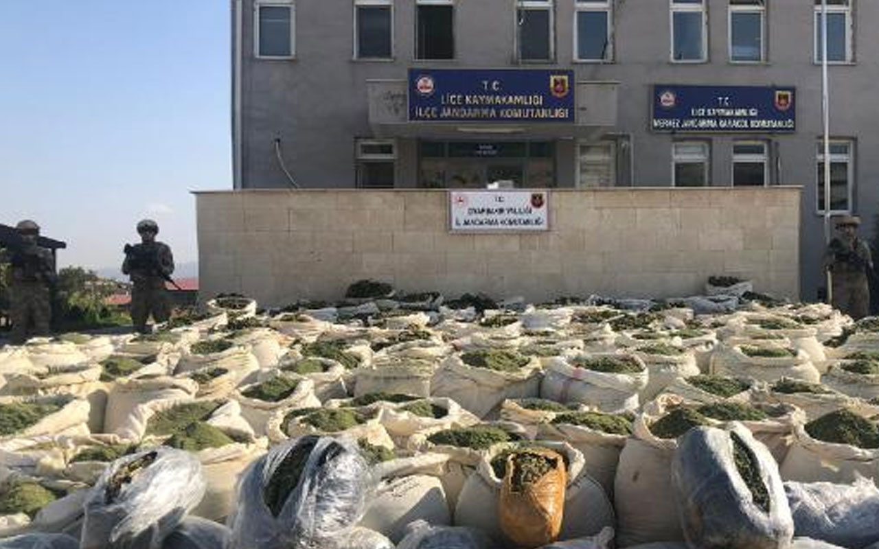 Diyarbakır'da narko-terör operasyonu: 4 ton esrar, 236 bin kök kenevir ele geçirildi