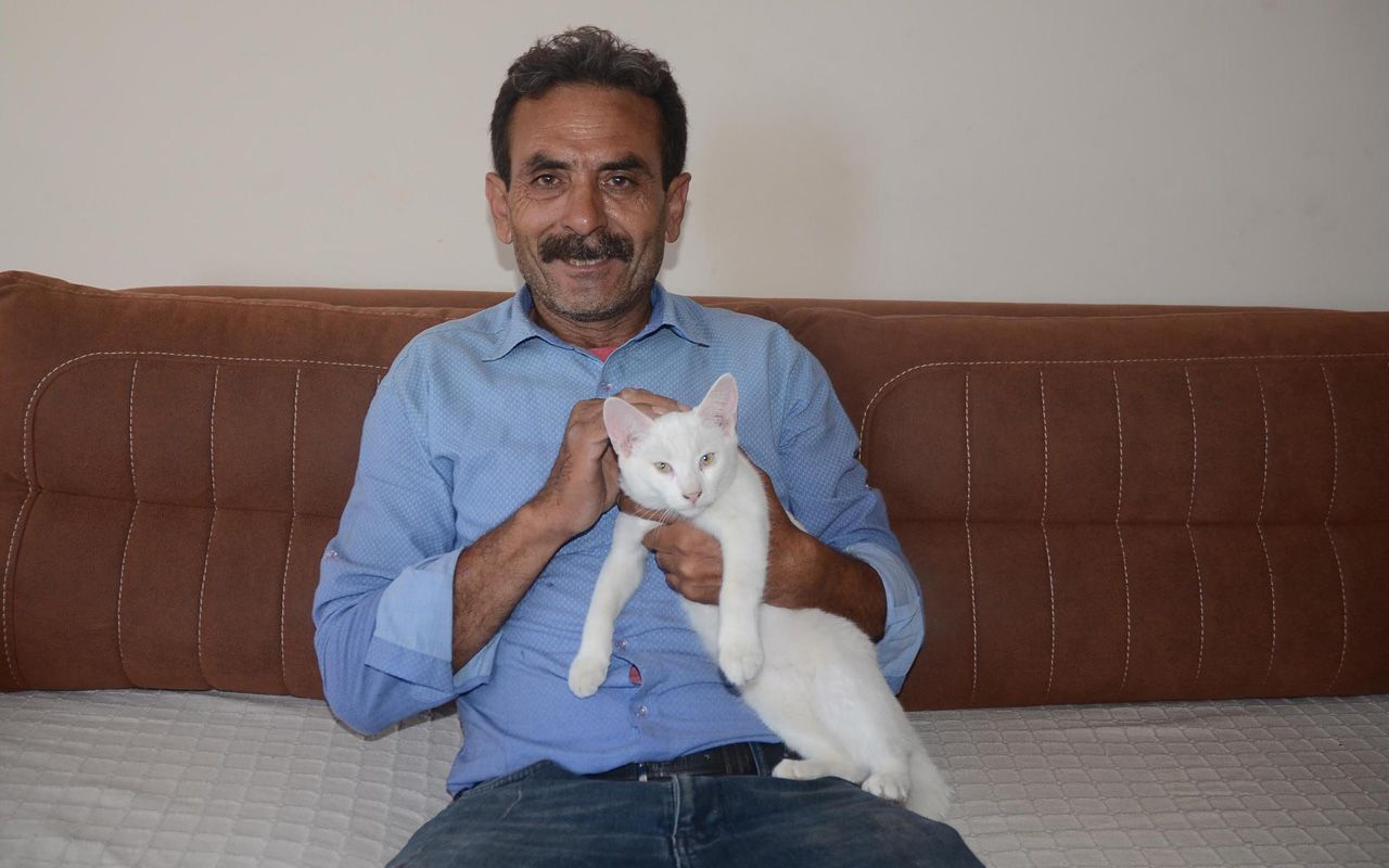 Aydın'da yaşadığı travmayı unutamıyor beslediği pitbull'un saldırdığı adam: Silahtan farkı yok