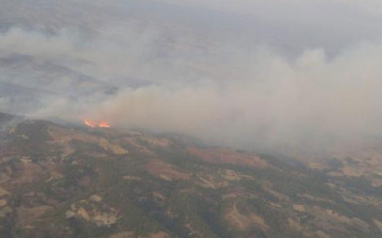 Manisa'daki orman yangını 21 saatte kontrol altına alındı! 50 hektar zarar gördü