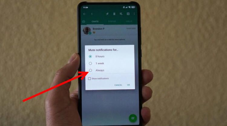 Bu sabahtan itibaren başladı! İşte Whatsapp'ın yeni bombası