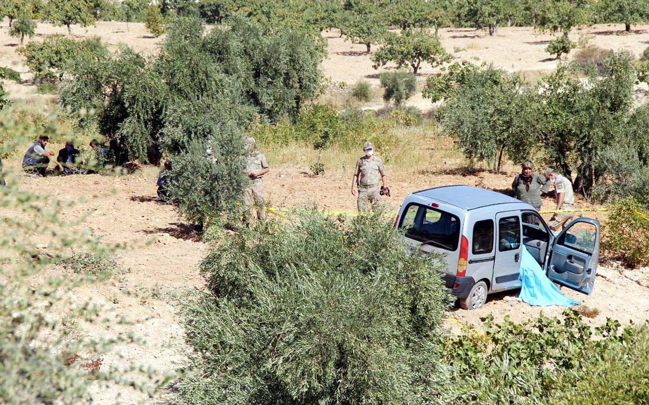 Gaziantep'te zeytin bahçesine uçan araçta ölüm geldi
