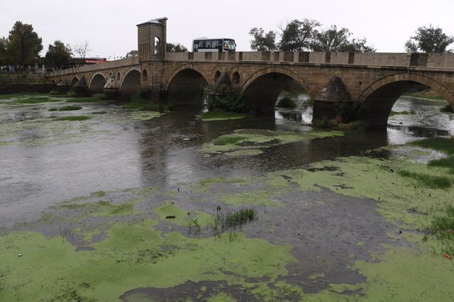 Edirne'de korkutan görüntü! Gören bir daha bakıyor