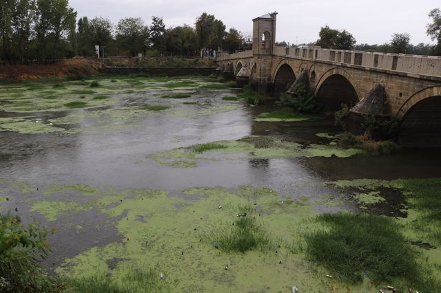 Edirne'de korkutan görüntü! Gören bir daha bakıyor