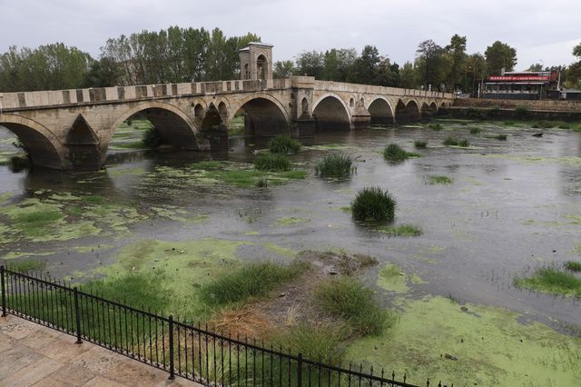 Edirne'de korkutan görüntü! Gören bir daha bakıyor