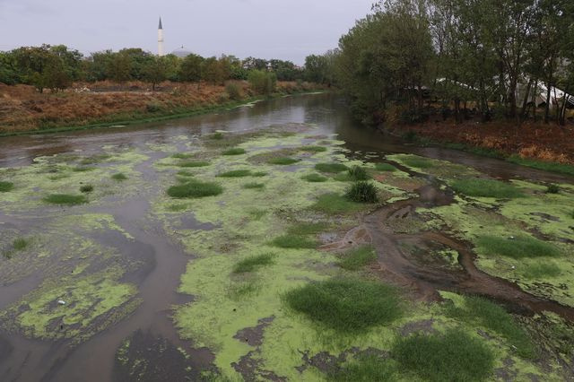 Edirne'de korkutan görüntü! Gören bir daha bakıyor