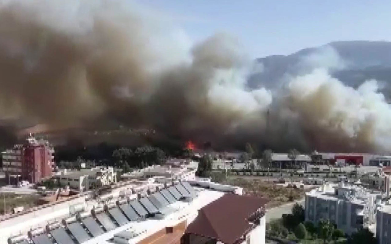 Hatay'da çıkan orman yangını kente sıçradı işte o korku dolu anlar