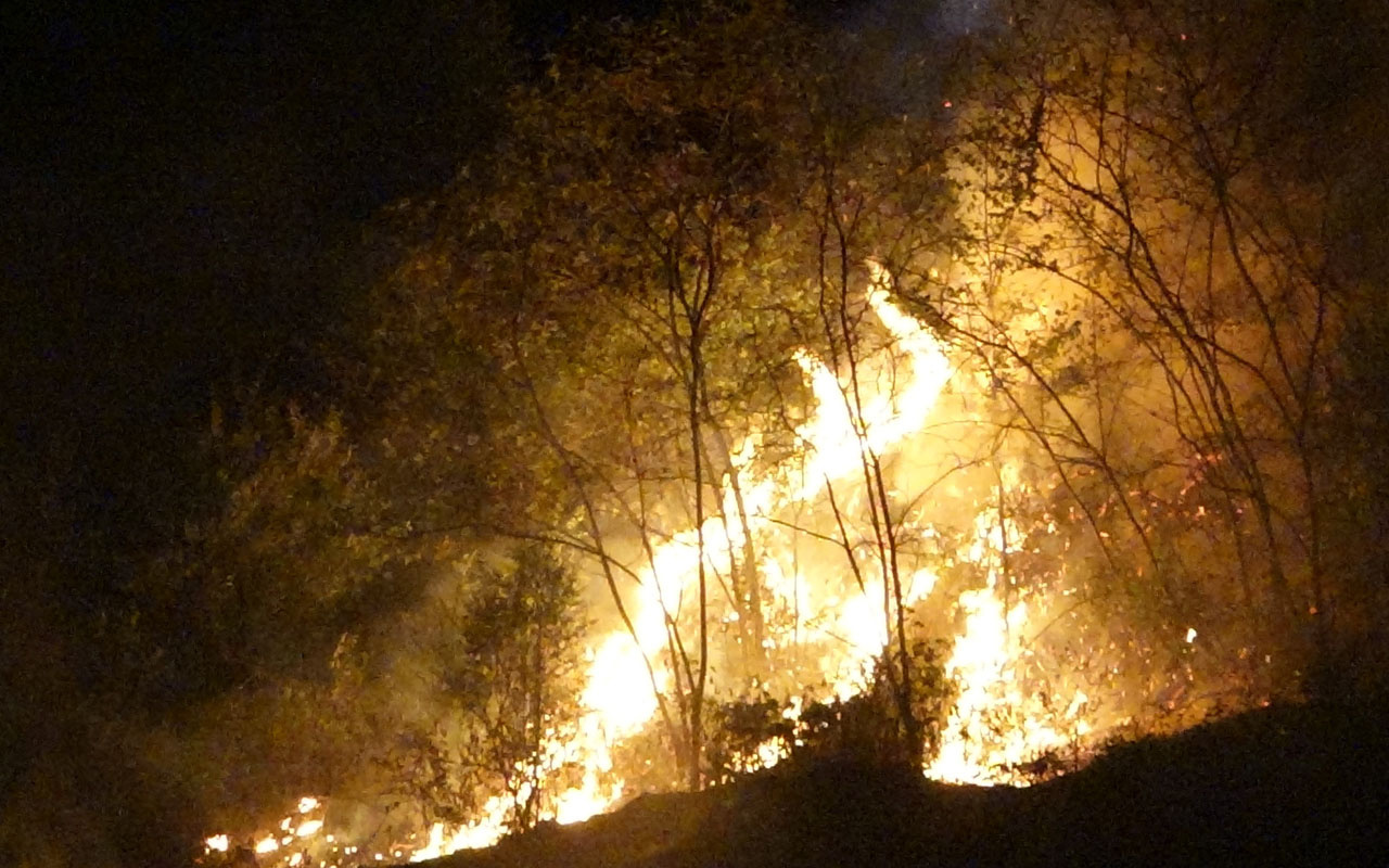 Trabzon'da otluk alanda çıkan yangın 1 saatte söndürüldü