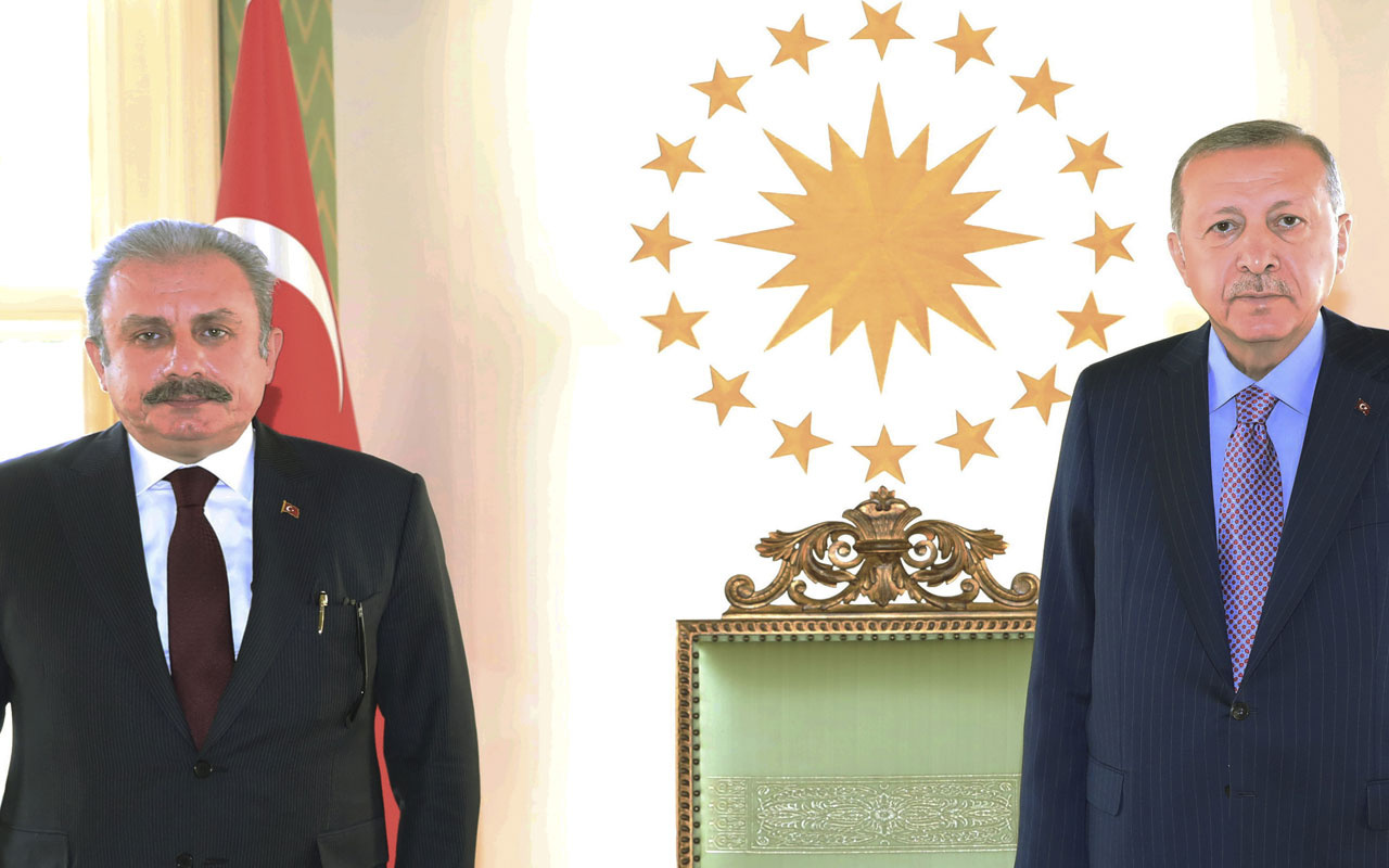 Cumhurbaşkanı Erdoğan, TBMM Başkanı Mustafa Şentop'u kabul etti