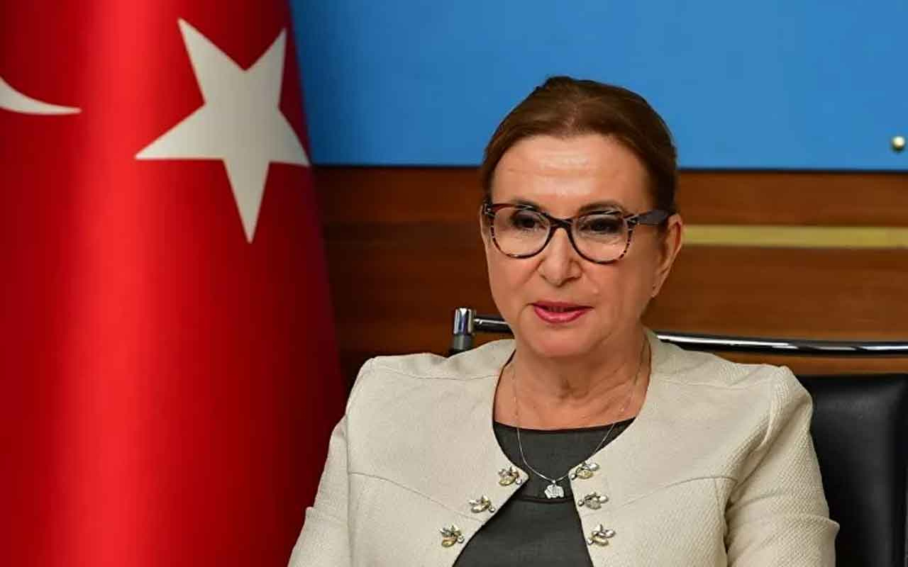 Ticaret Bakanı Pekcan açıkladı: Türk firmaları, Libya'da yarım kalan işlerini devam ettirecek