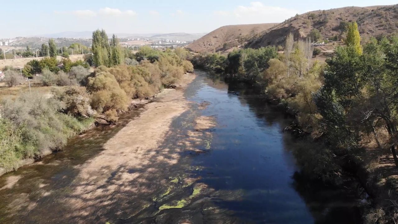 Türkiye'nin en uzun nehri Kızılırmak kuruyor! Toplu balık ölümleri başladı