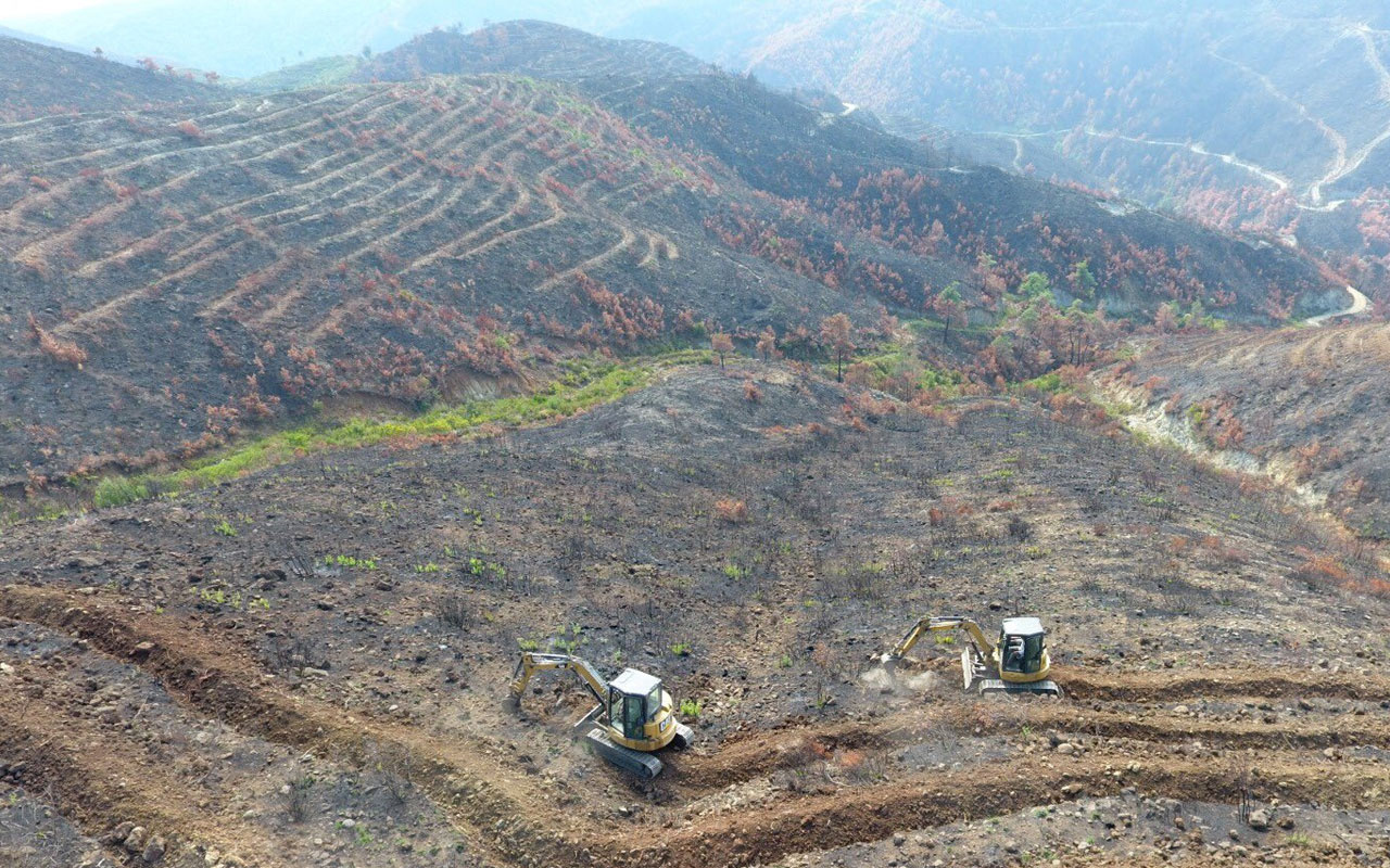 Tarım ve Orman Bakanı Bekir Pakdemirli: Hatay'daki yangının izlerini hızlıca siliyoruz