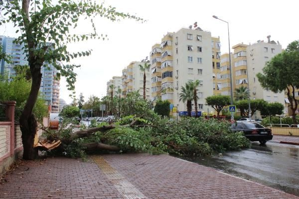 Antalya’da sağanak ve rüzgar etkili oldu! Ağaçlar devrildi, yollar göle döndü