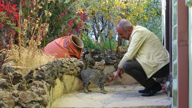 Van Edremit'te küpün içinden çıkanları gören adam şaşkına döndü