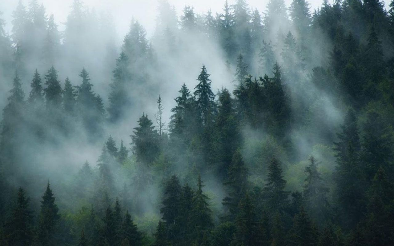 Meteorolojiden pus uyarısı! Yarın sabah başlayacak birçok ilde görülecek