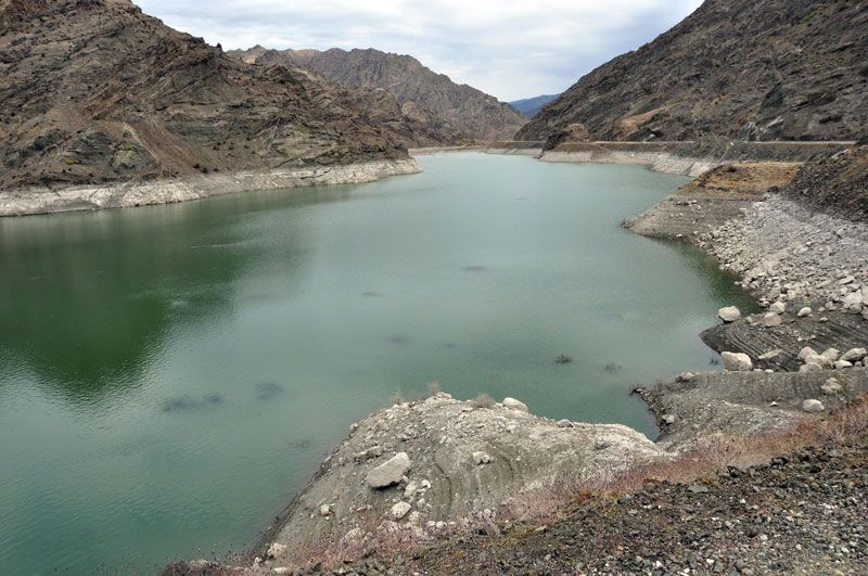 Erzurum'da baraj gölündeki balıkların kümeler halinde durmasının nedeni ortaya çıktı