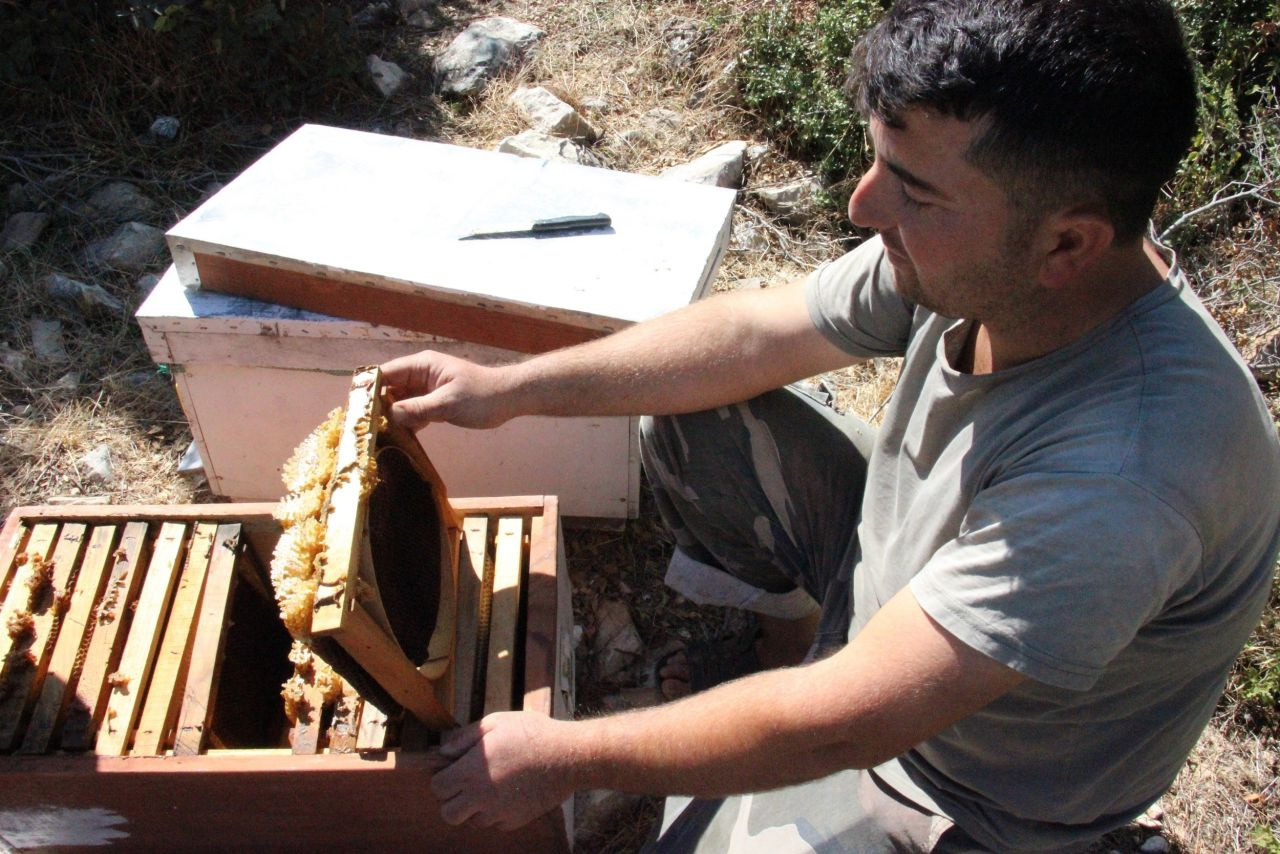 Aydın'da arılar 'Allah', Hasbinallah' yazıp kovanı terk ediyorlar
