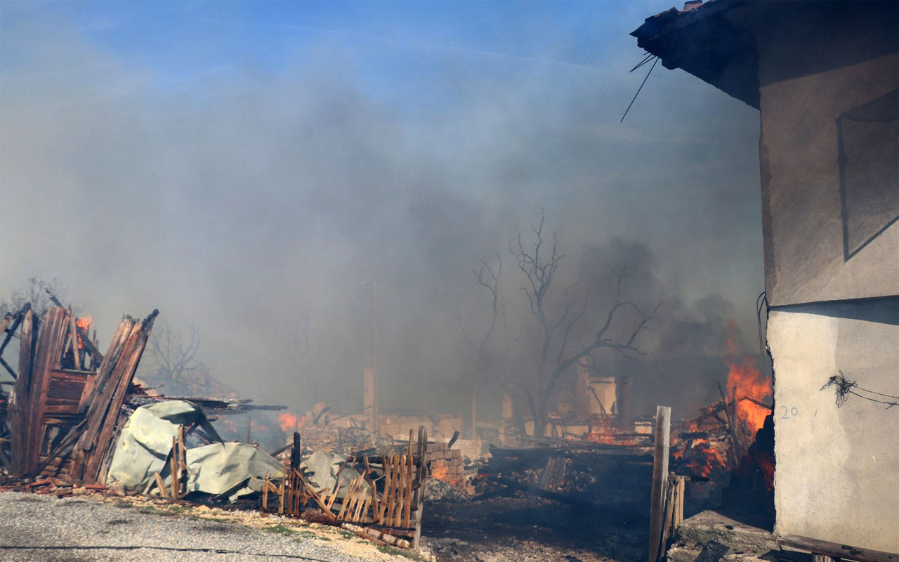 Bolu'nun Kuzfındık köyünde yangın çıktı! Alevler evlere sıçradı