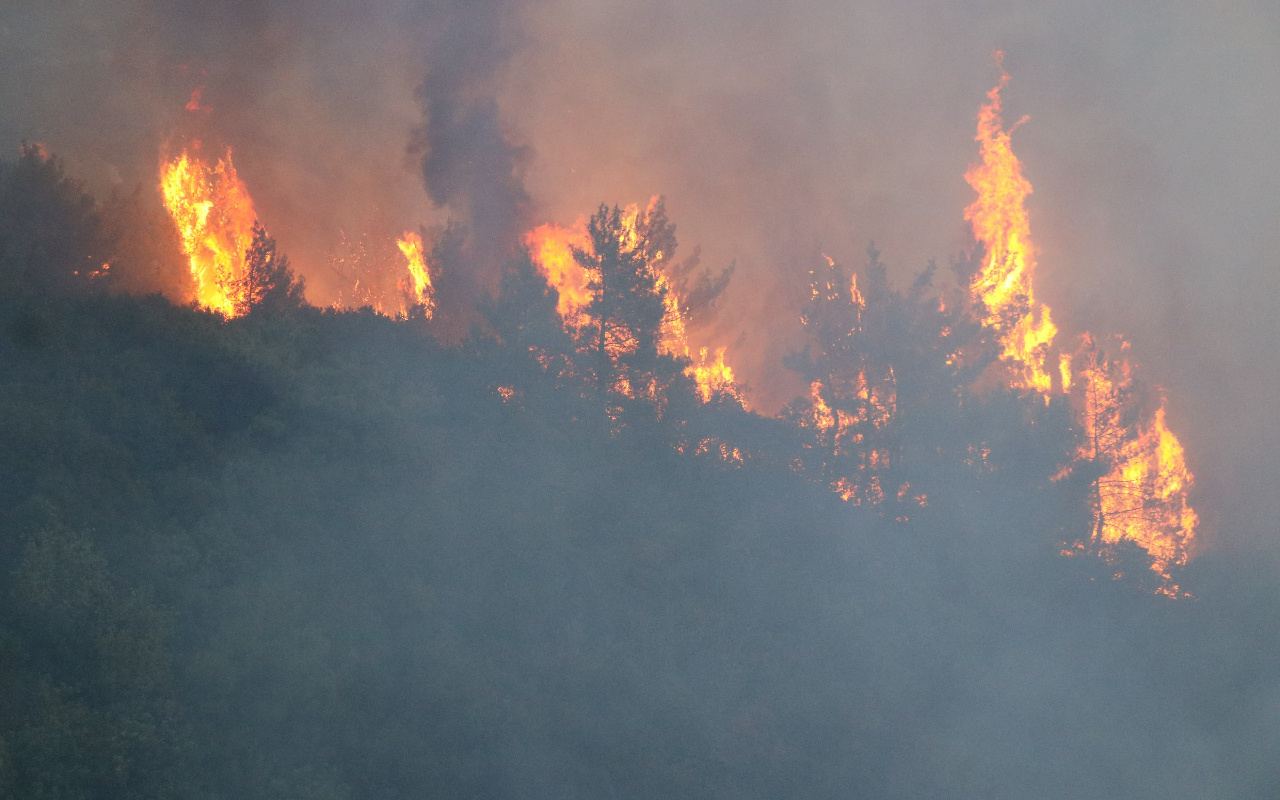 Hatay'da bir günde 4 farklı noktada orman yangını