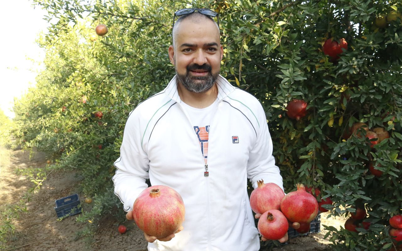 Antalya'da görenler şaşırıyor nar ağırlığıyla yeni rekoru elde etti