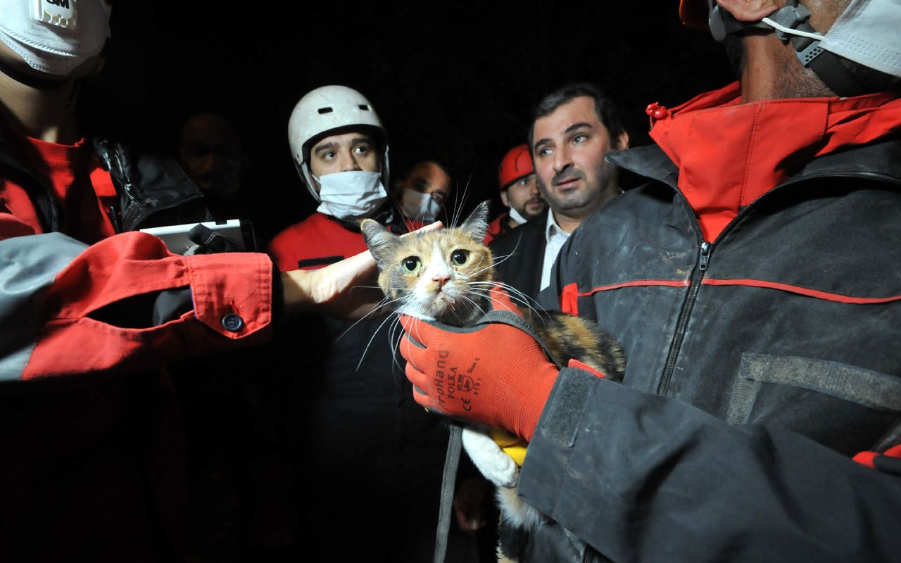 İzmir'de sevimli kediyi dostu kurtardı gözyaşları yaşadığı büyük korkuyu özetledi