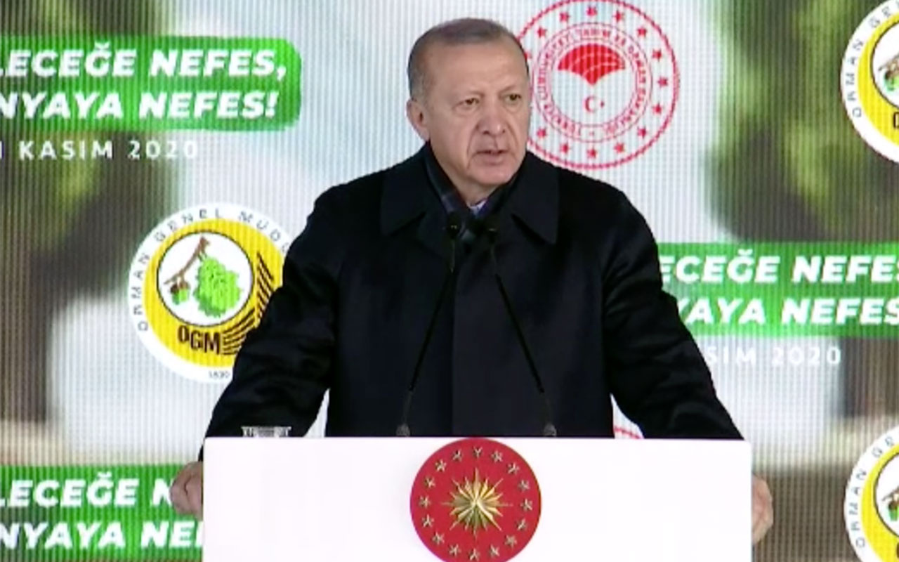 Cumhurbaşkanı Erdoğan: Gezi'de güya çevre adına ortalığı yakıp yıkanlar fidan dikmemizden rahatsız