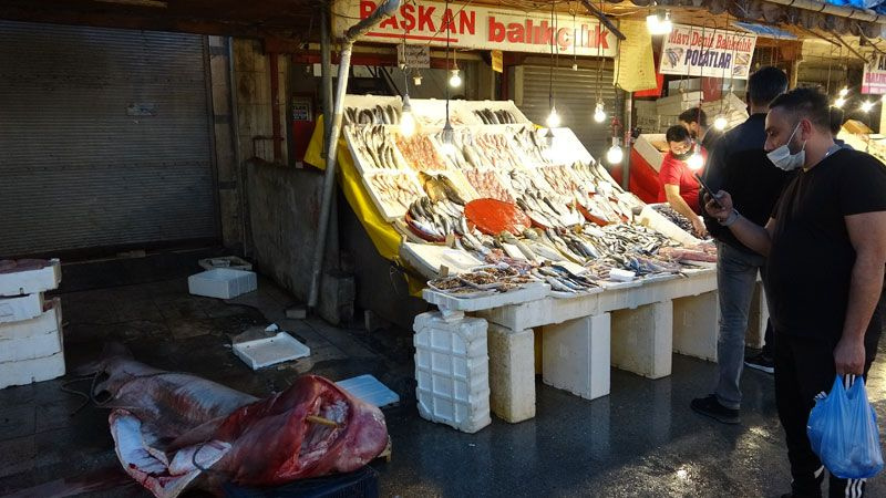 Mersin'de yakalandı 5 metre uzunluğunda balıkçılar 5 saatte çıkarabildi