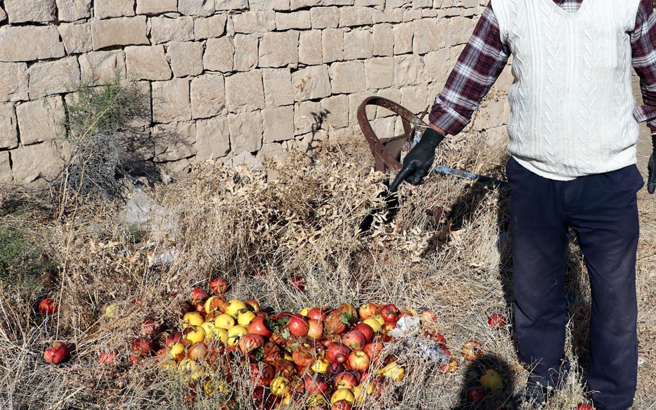 Kayseri'de 'çürük elmalardan meyve suyu' iddiasına Bakanlıktan flaş açıklama!