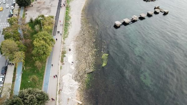İstanbul'da sahilde deniz çekildi deprem mi olacak? Açıklama geldi