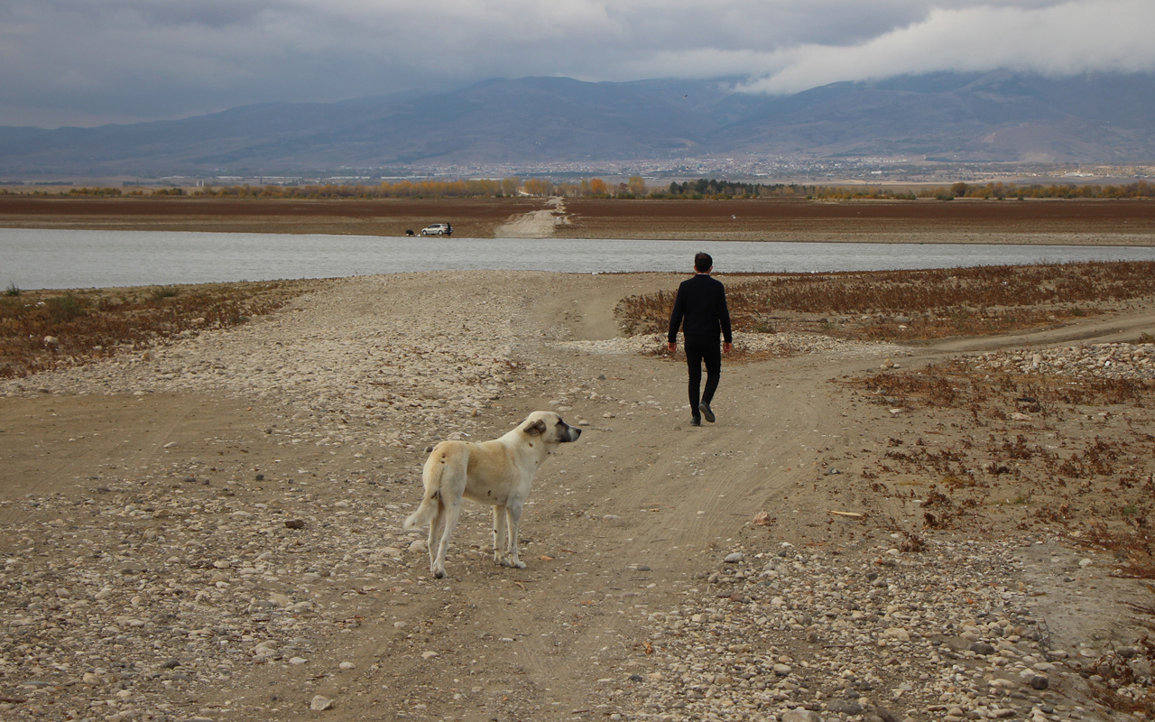 Amasya'da korkutan görüntü! 3 aydır bir damla yağış düşmedi  Türkiye’nin en kurak alanı