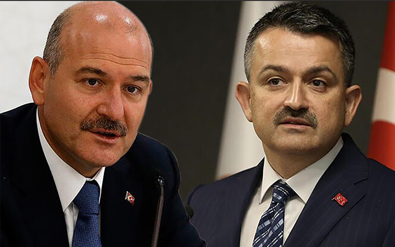 İçişleri Bakanı Süleyman Solu ile Tarım Bakanı Bekir Pakdemirli'nin Hakkari paslaşması
