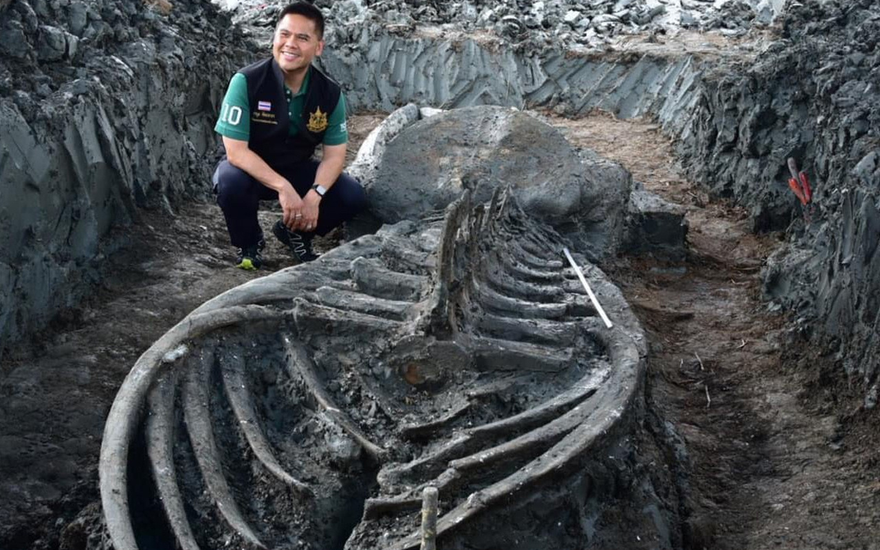 Tam 5 bin yıllık sadece kafatası bile 3 metre! Dünyayı hayrete düşürdü