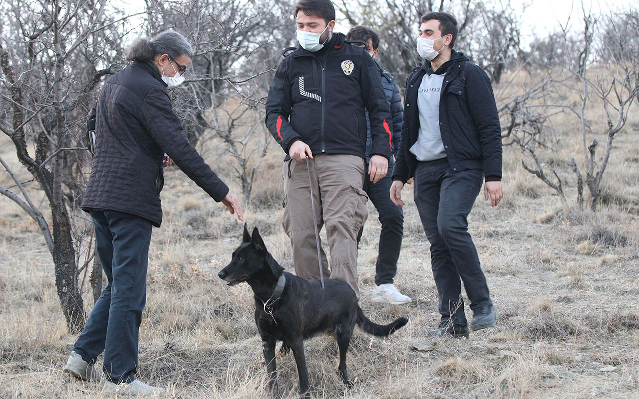 Ankara'da dağlık arazide kesik insana ait kafatası bulundu