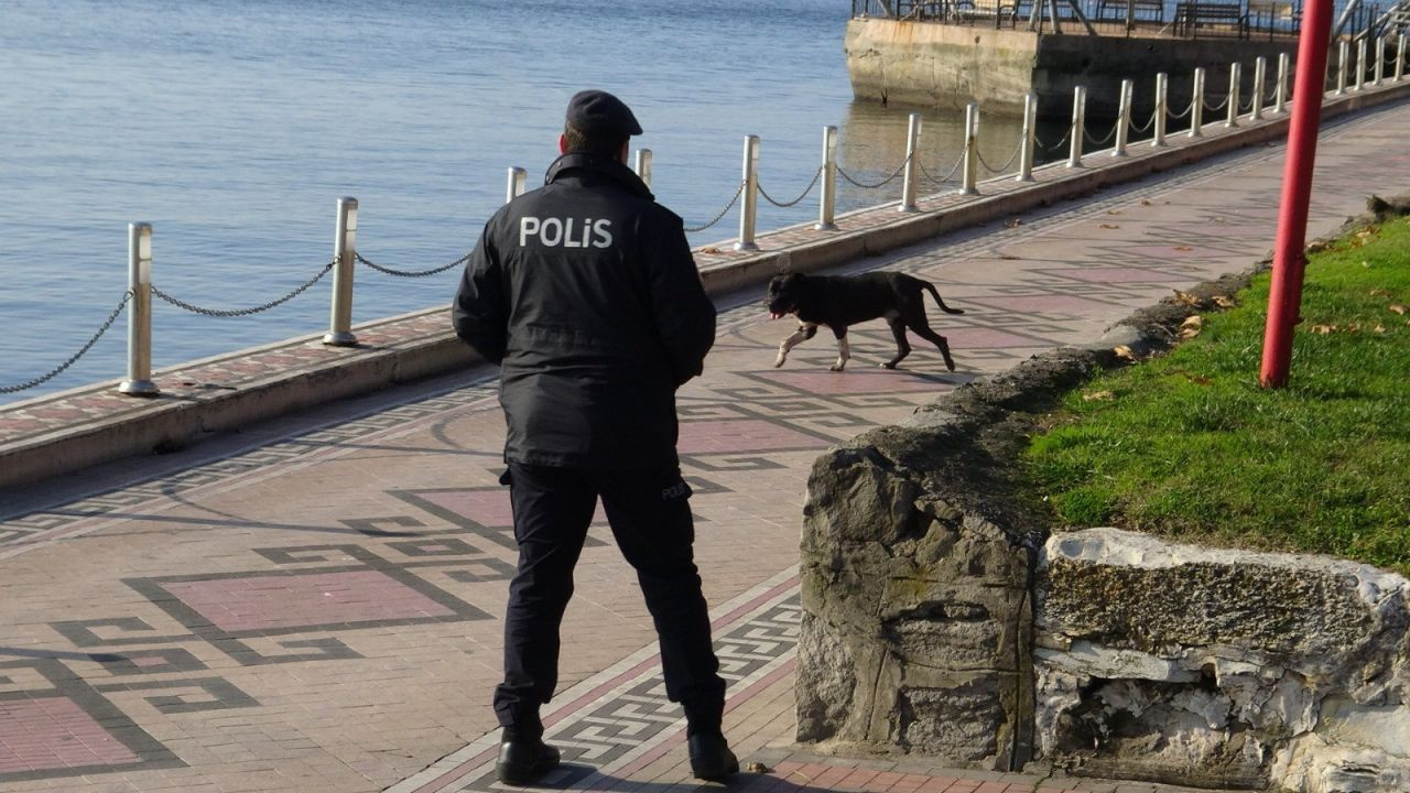 Zonguldak'ta pitbull boğarak öldürdü kimse elinden alamadı o anlar görüntülendi