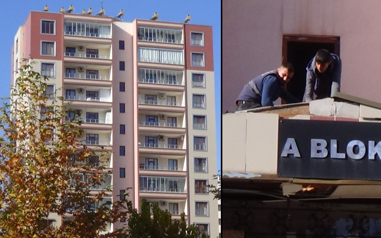 Diyarbakır'da ilginç olay! Koronavirüsü yendi 13 kattan atladı ama ölmedi