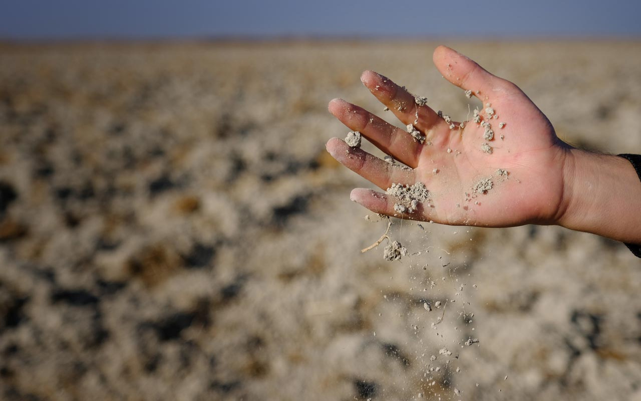 Tohumlar çürümeye başladı verim yüzde 40 düşecek! Konya Ovası'nda kuraklık alarmı