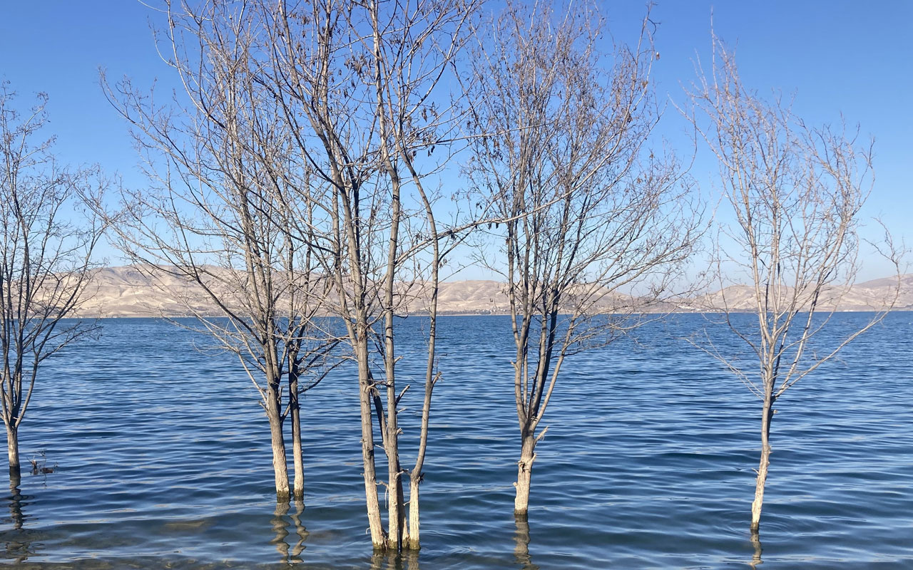 Hazar Gölü'nde su seviyesi yükseldi! 'Deprem' detayı dikkat çekti