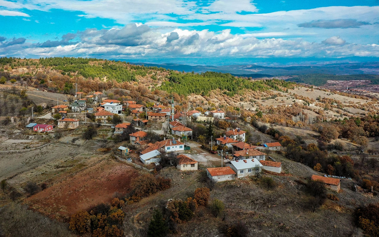 Bursa'da salgın öncesi 4 kişinin yaşadığı dağ köyünün nüfusu 10 katına çıktı