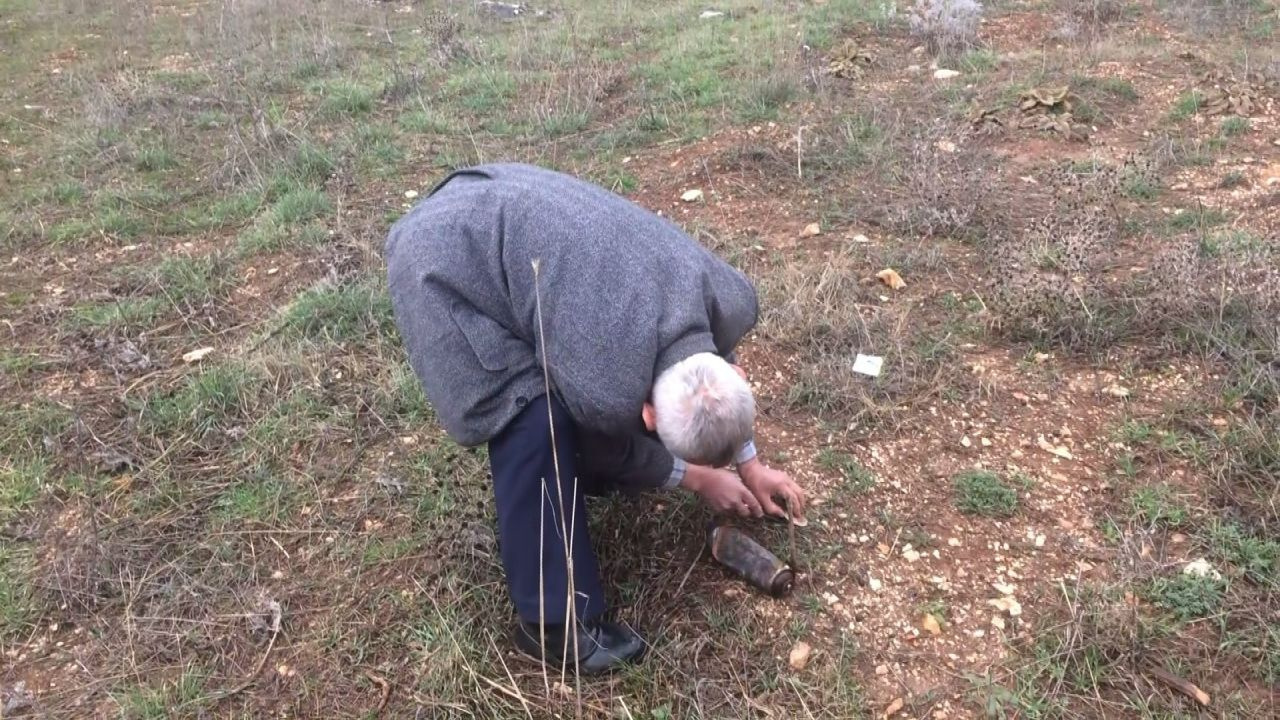 Antalya'da kökünden toplayıp satıyorlar geçim kaynağı oldu! Kilosu bakın ne kadar