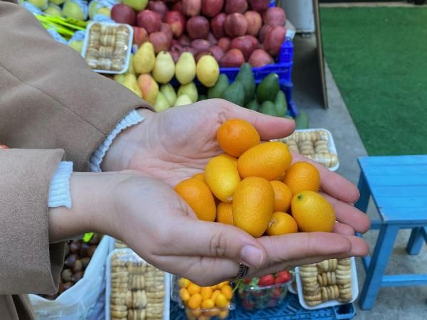 İzmir'de talep patladı iyi gelmediği şey yok! Fiyatı ise cep yakıyor