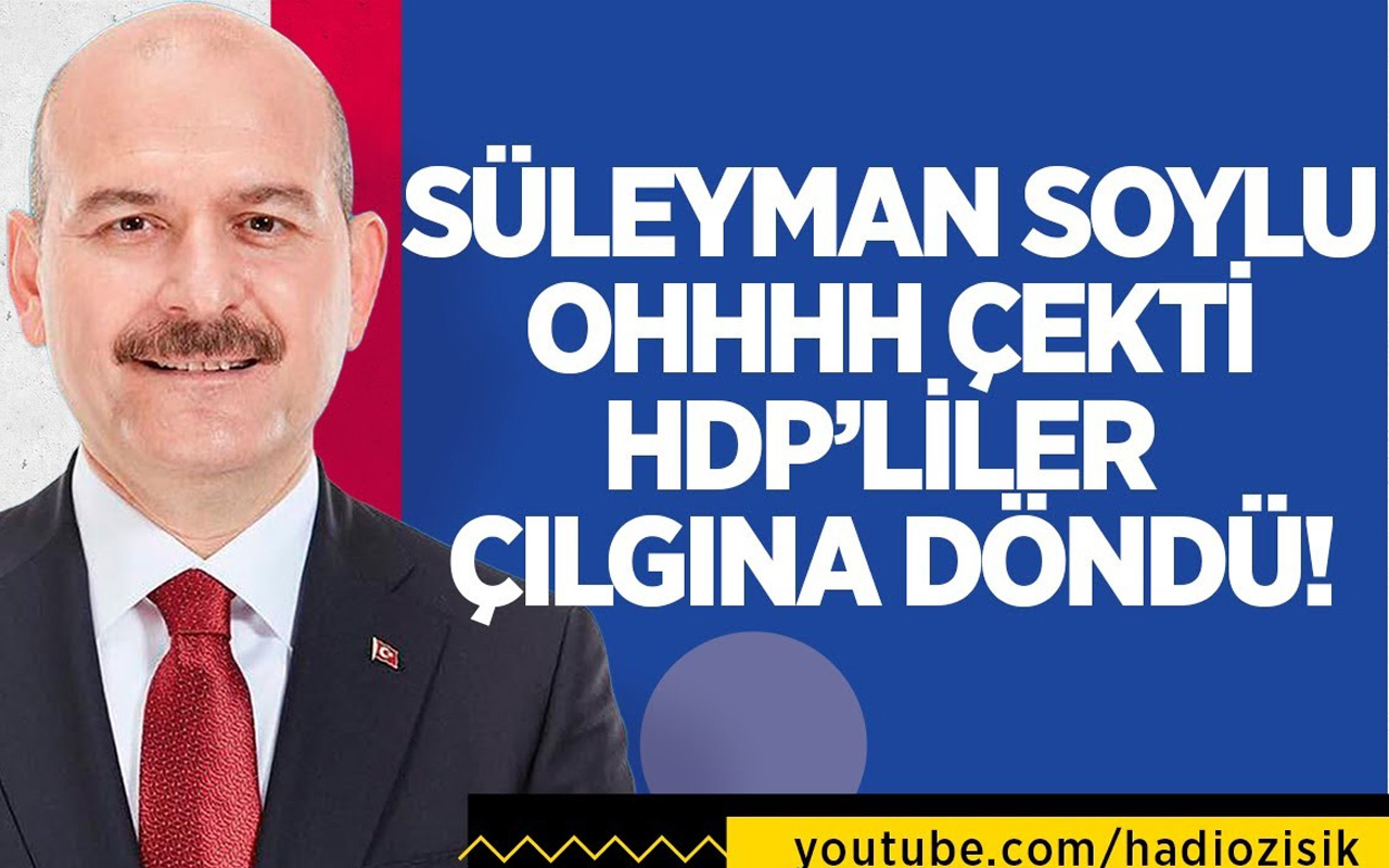 Süleyman Soylu'nun HDP milletvekillerine yönelik bu sözleri olay oldu!