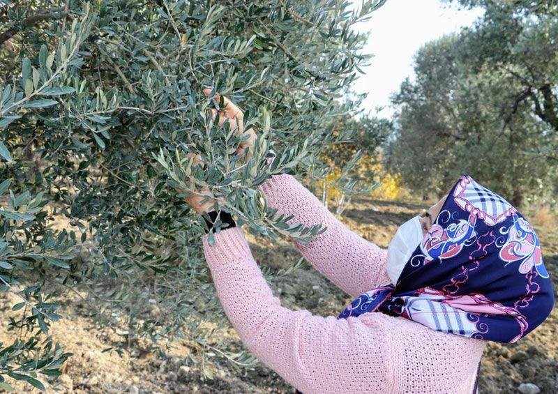 Koronavirüsün vücutta çoğalmasını engelliyor talep patlaması yaşanıyor