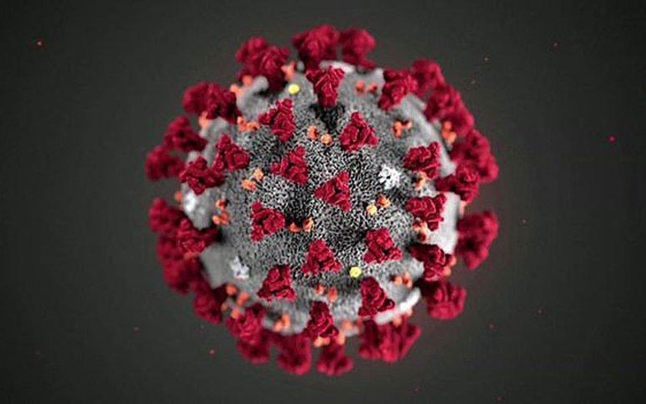 Mutasyon nedir koronavirüs mutasyon geçirince ne oluyor?