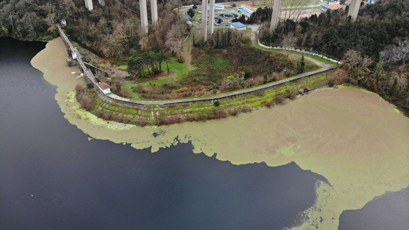 İstanbul Elmalı Barajı'nda korkutan görüntü yeşil renge büründü