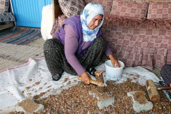 Dağdan toplayıp satıyor Adana'da siparişlere yetişemiyor! Fiyatı bakın ne kadar